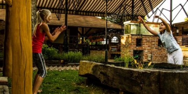 Hotel Vineyard Inn - Szőlőskert***